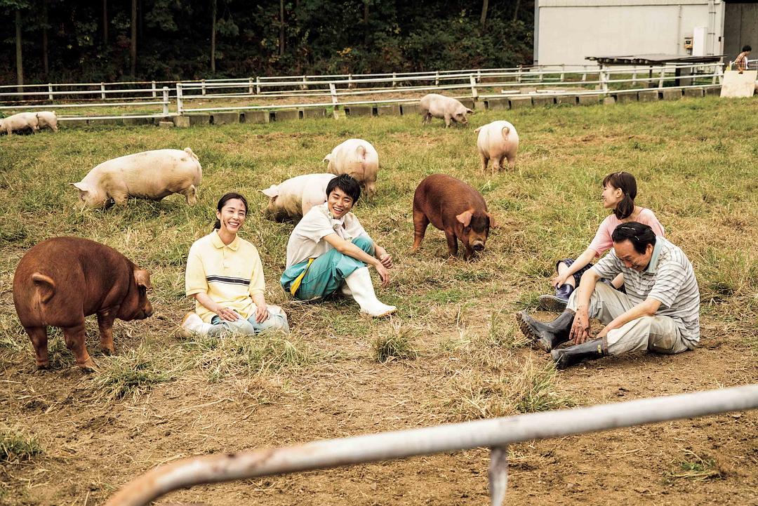 《生存家族》剧照