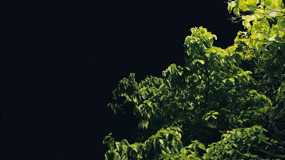 《阴差阳错的女演员们》剧照第25张图片