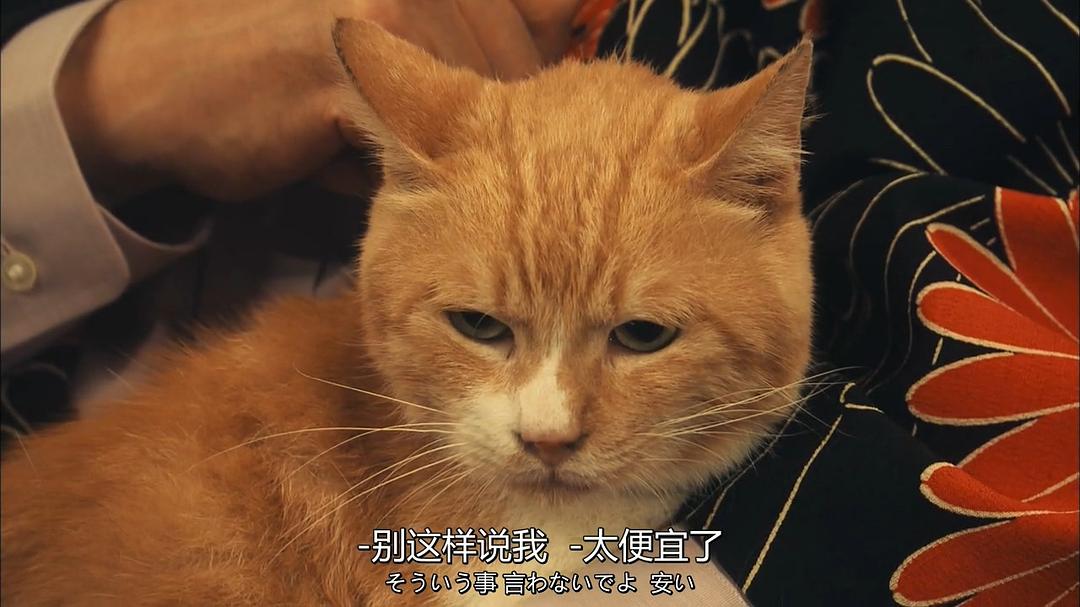 《X医生：外科医生大门未知子第5季》剧照