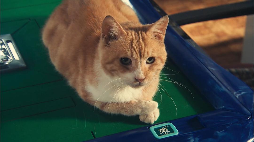 《X医生：外科医生大门未知子第5季》剧照