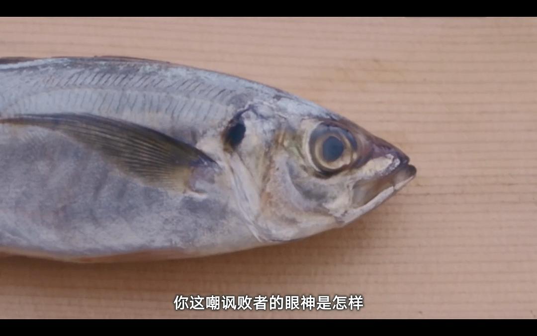 《两个人的独角戏》剧照