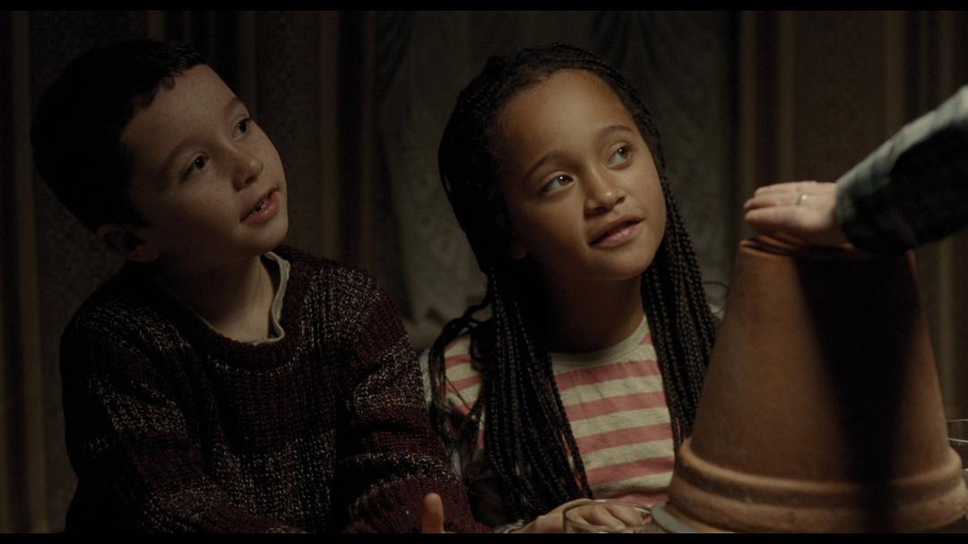 CriterionCollectionS...