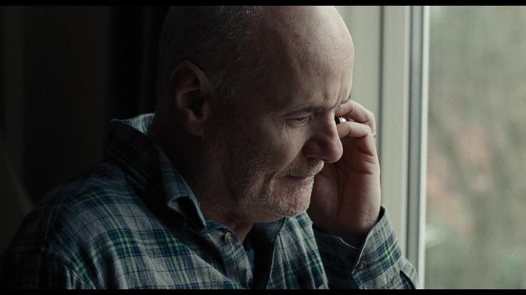 CriterionCollectionS...