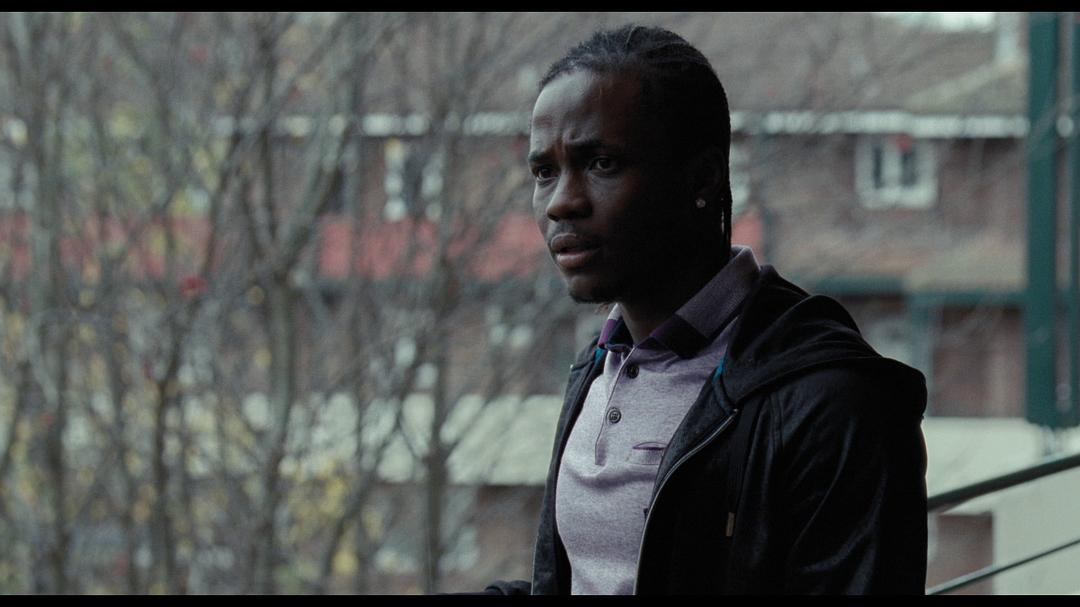 CriterionCollectionS...