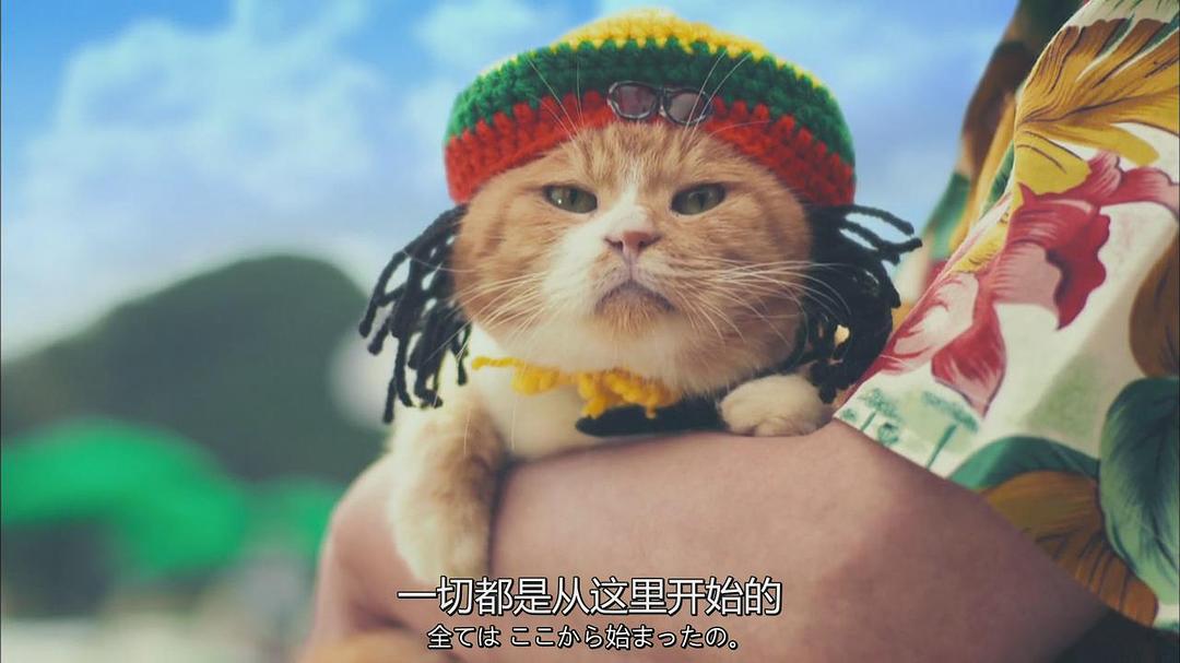 《X医生：外科医生大门未知子第5季》剧照