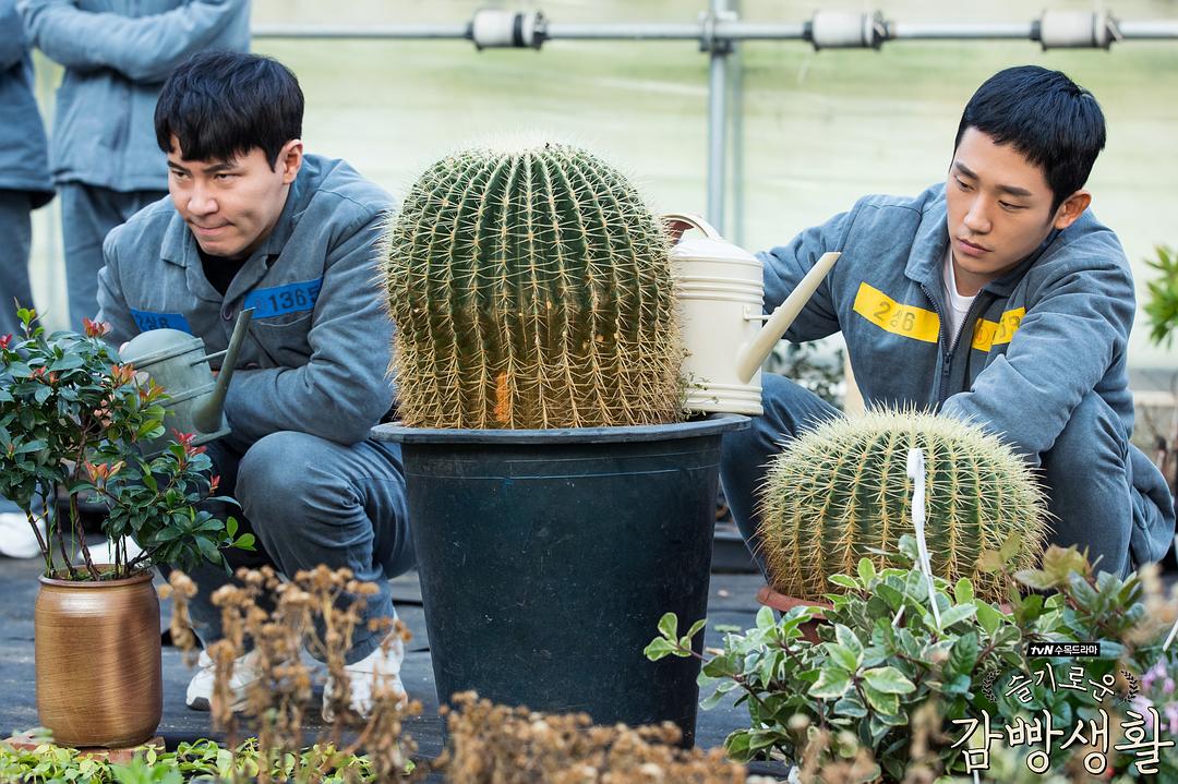 《机智牢房生活》剧照第20张图片