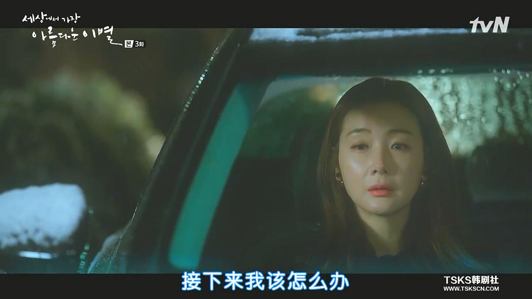 《世上最美丽的离别》剧照