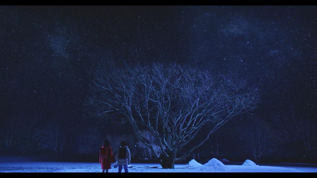 《只有我不存在的城市》海报第30张图片