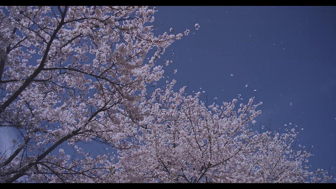 《只有我不存在的城市》海报第26张图片