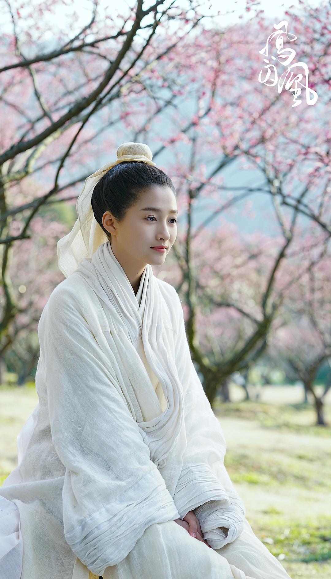 《凤囚凰》海报第43张图片