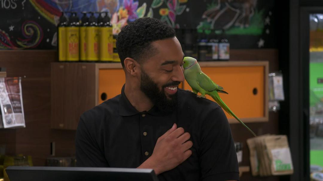 《生活大麻烦》剧照第30张图片