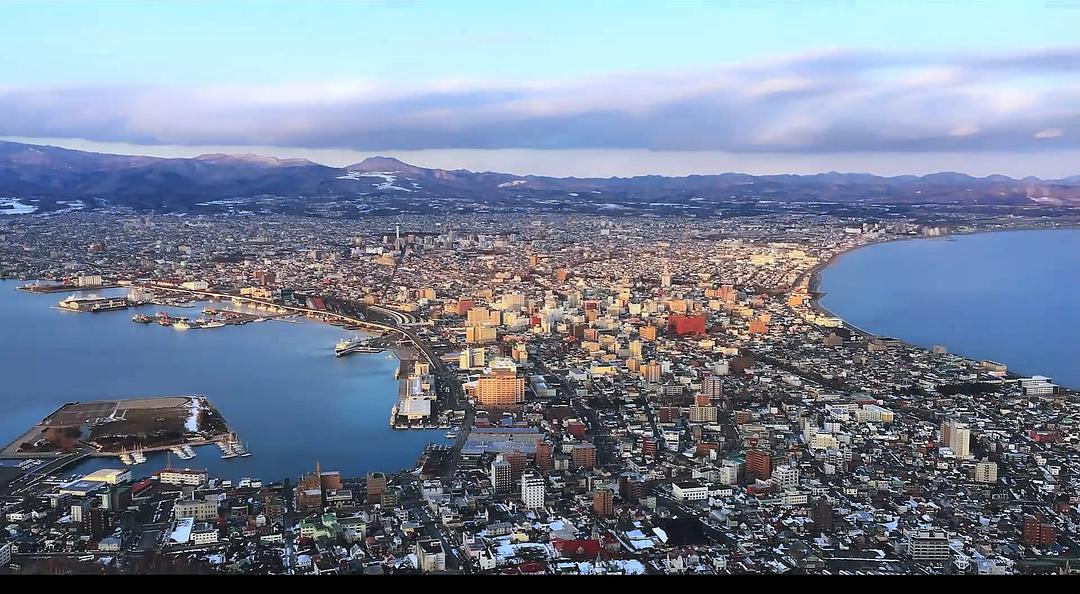 《只有我不存在的城市》海报第36张图片