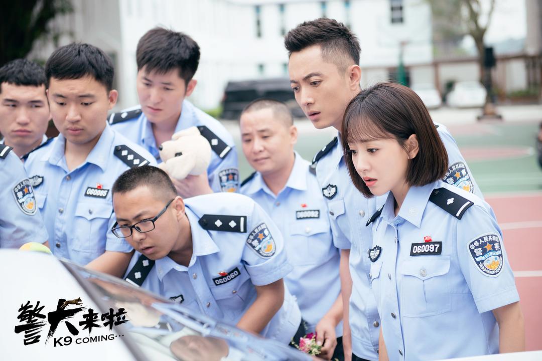 《警犬来啦》海报第14张图片