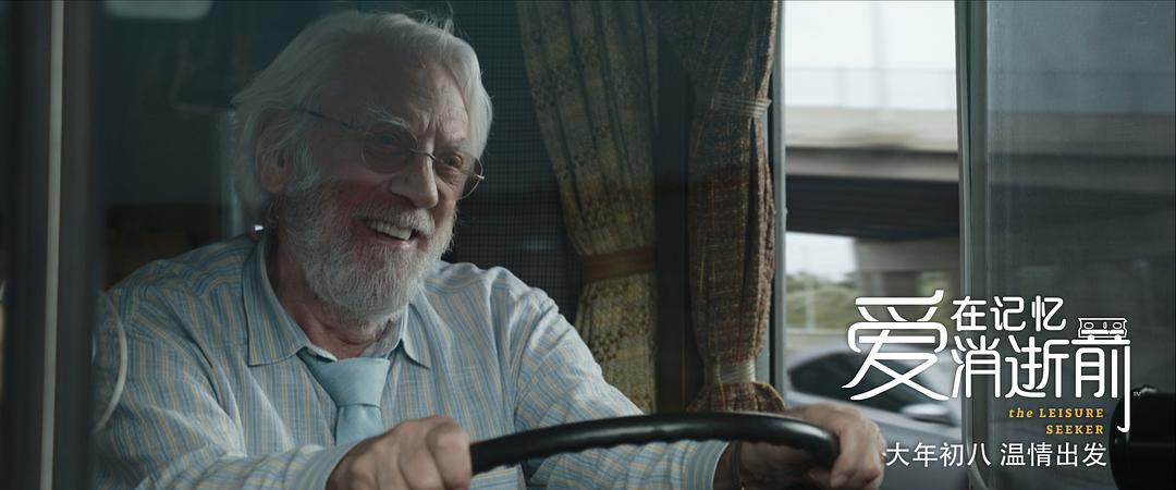 《爱在记忆消逝前》海报第22张图片