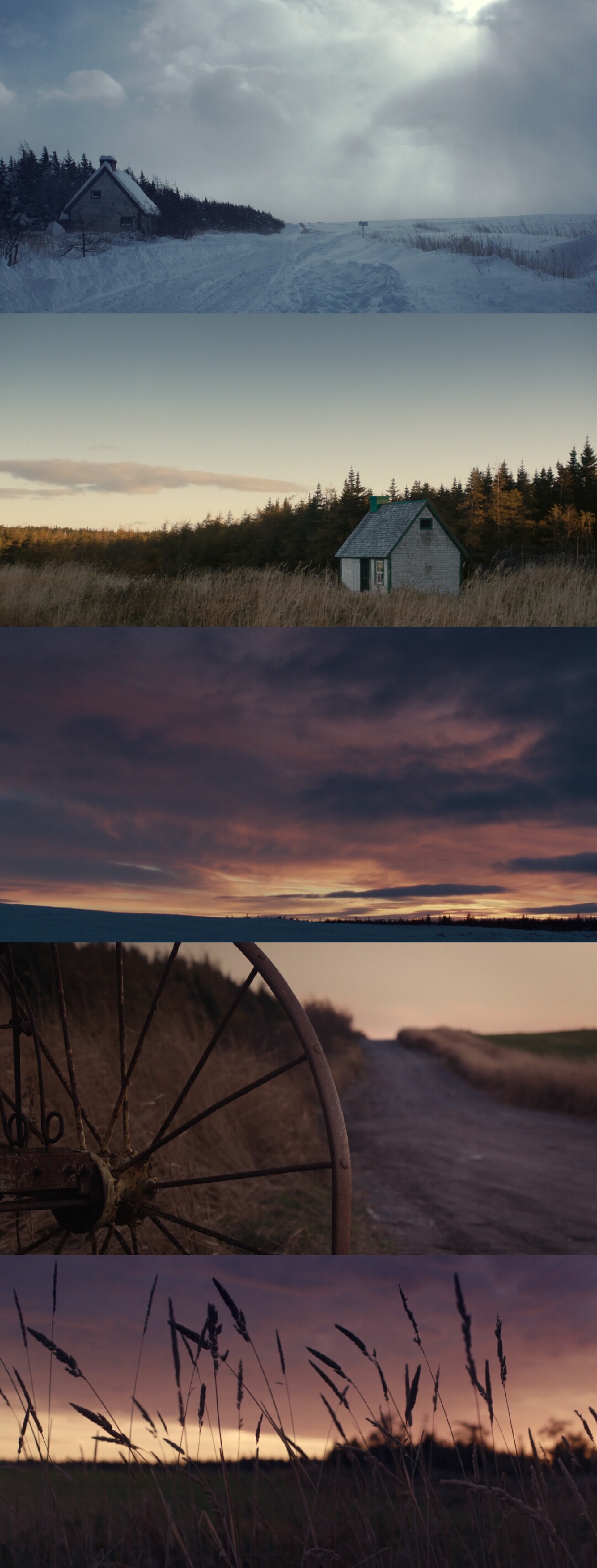 《莫娣》海报第33张图片