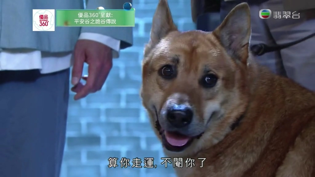 《平安谷之诡谷传说》剧照