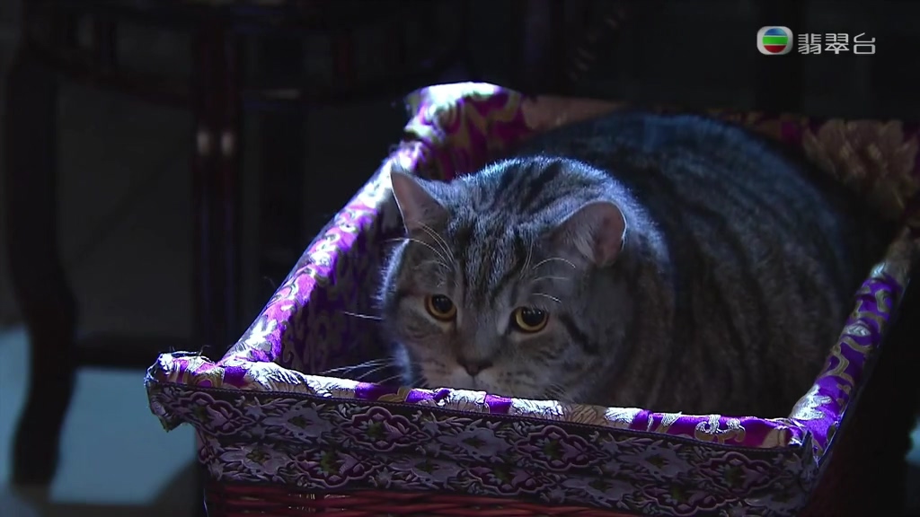 《平安谷之诡谷传说》剧照第17张图片