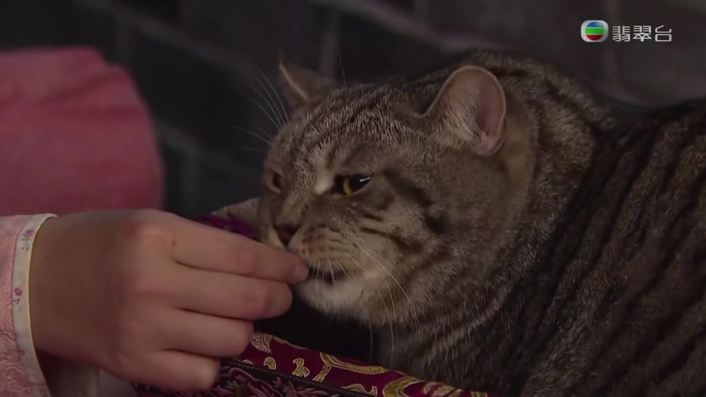 《平安谷之诡谷传说》剧照