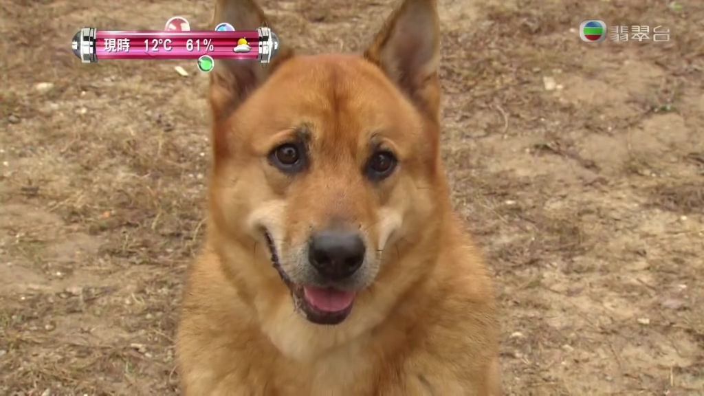 《平安谷之诡谷传说》剧照第37张图片