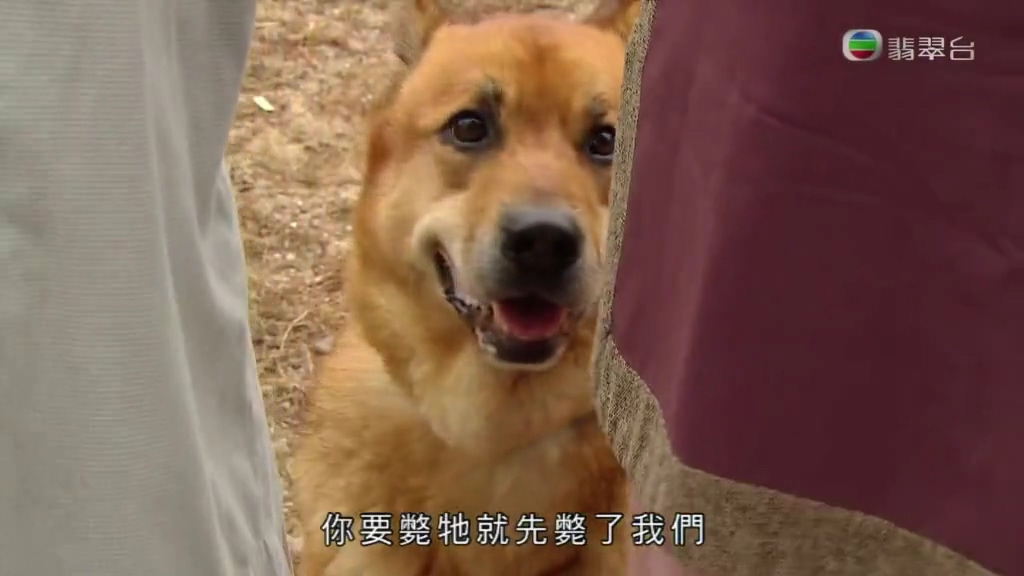 《平安谷之诡谷传说》剧照第36张图片