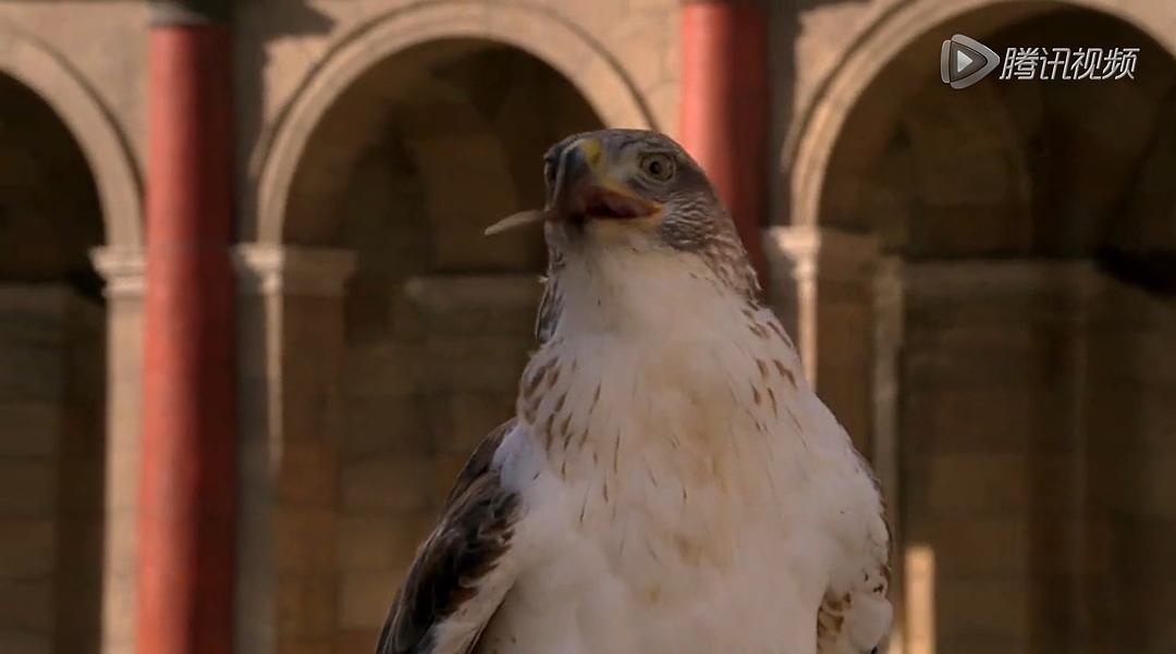 这眼神：“好难吃啊”...