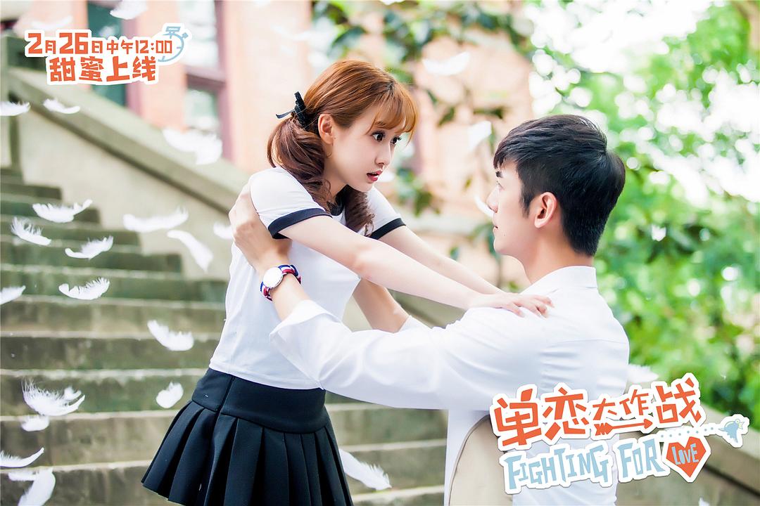 夏白橙石井相遇