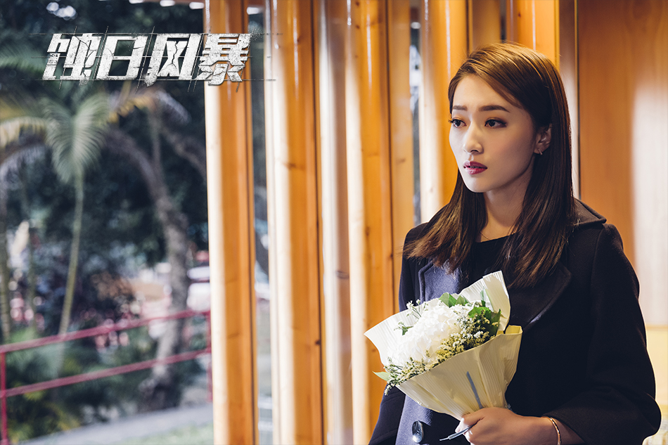 《蚀日风暴》剧照