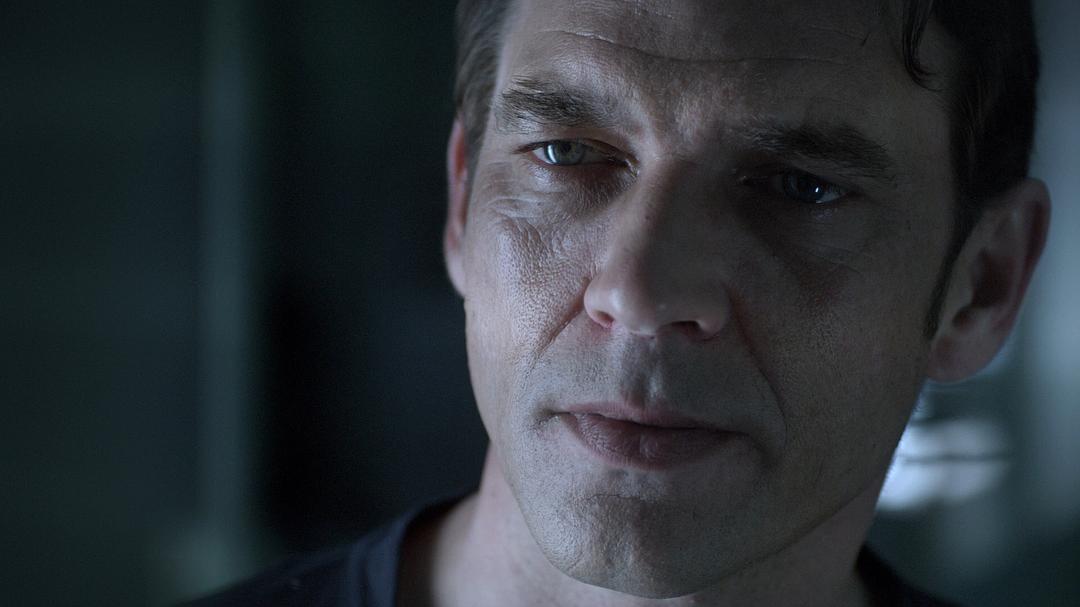 《三尖树时代》海报第14张图片