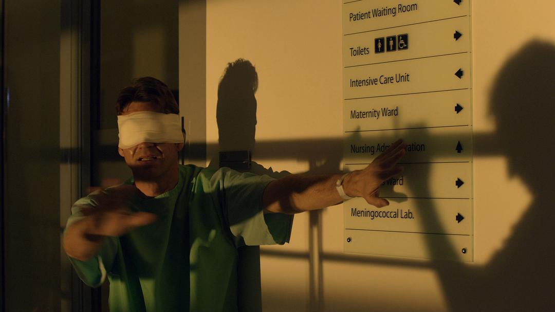 《三尖树时代》海报第11张图片