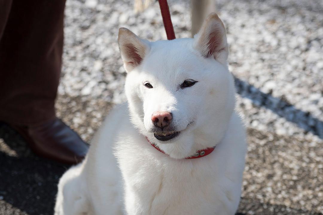 《一半，蓝色》剧照