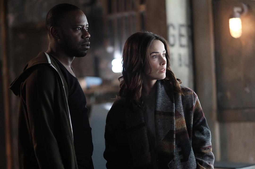 《穿越时间线第二季》海报第5张图片