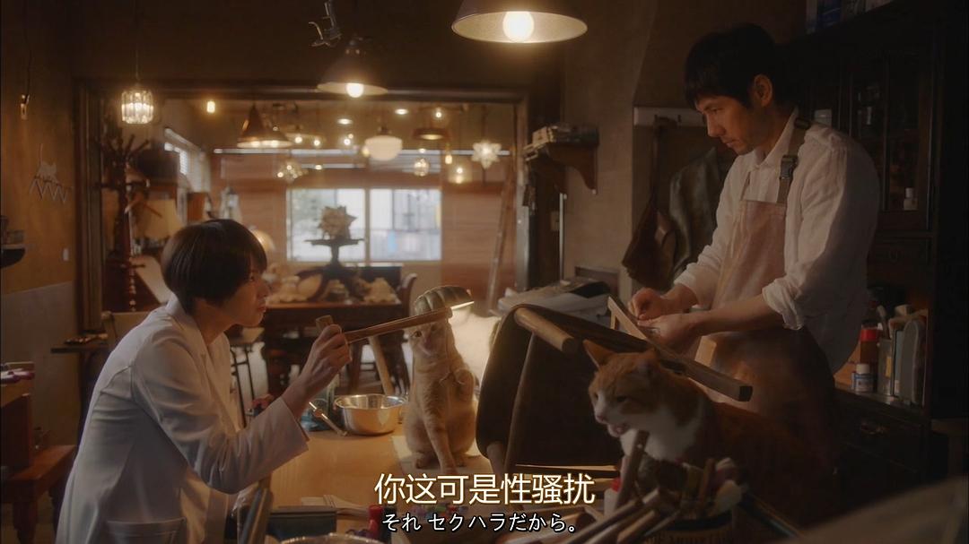 《毛毯猫》剧照第13张图片