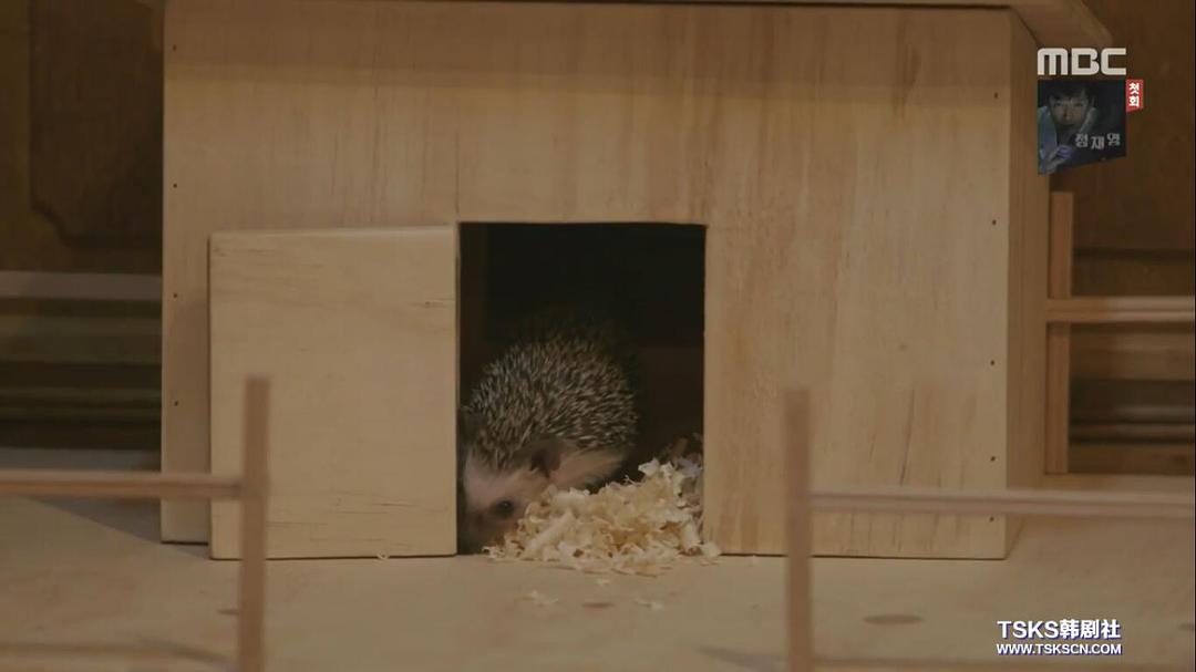 《疯了，因为你！》剧照第46张图片