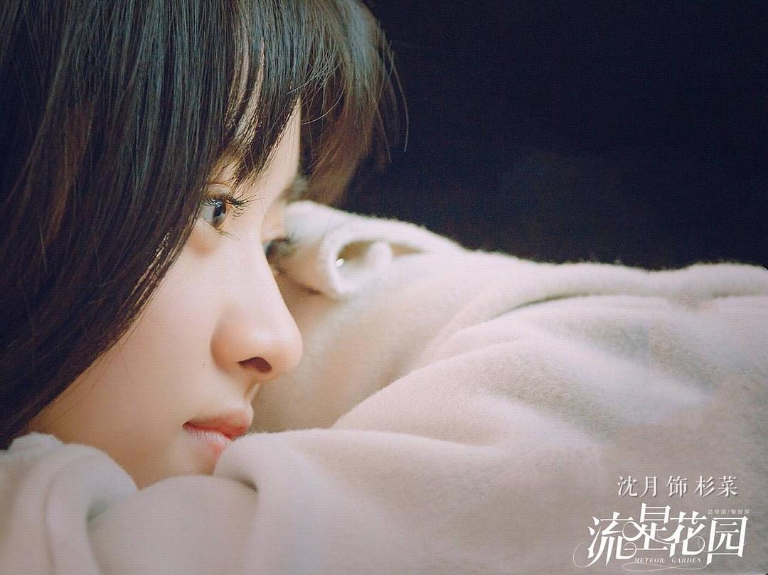 《流星花园》海报第34张图片