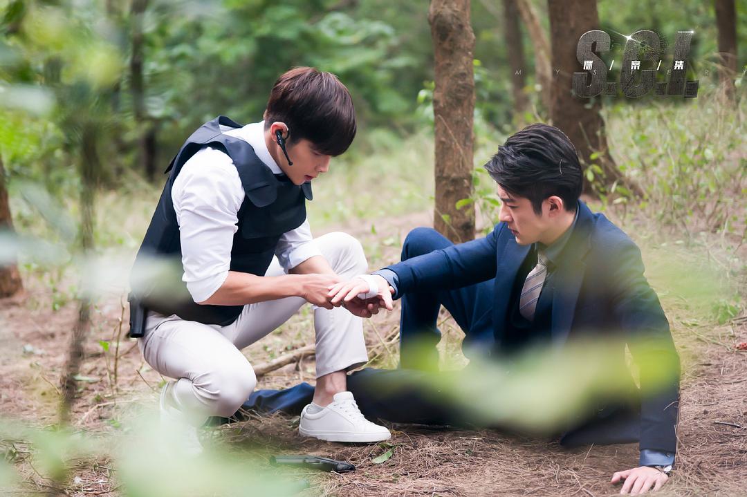 《S.C.I.谜案集》剧照