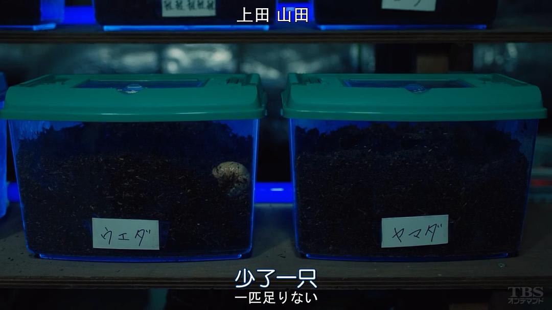 《SICK'S恕乃抄～内阁情报调査室特务事项専従系事件簿～》剧照