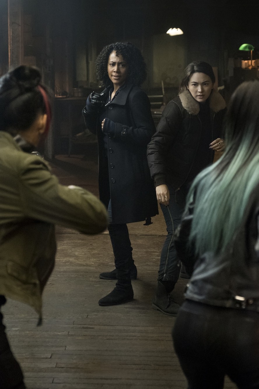 《铁拳第二季》海报第32张图片