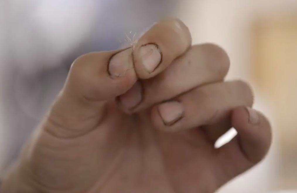 《谁是美国？》剧照