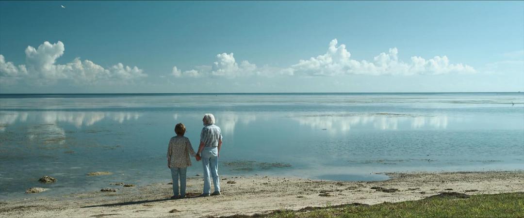 《爱在记忆消逝前》剧照