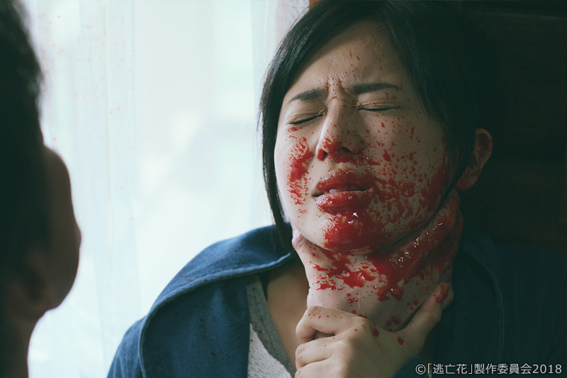 《逃亡花》剧照