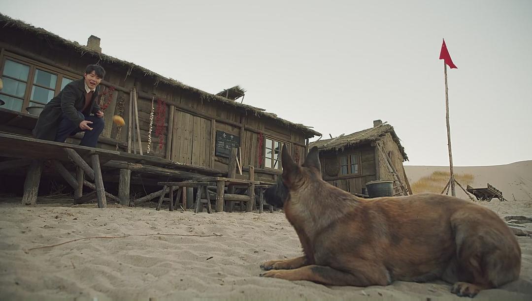 《最美的青春》剧照第33张图片