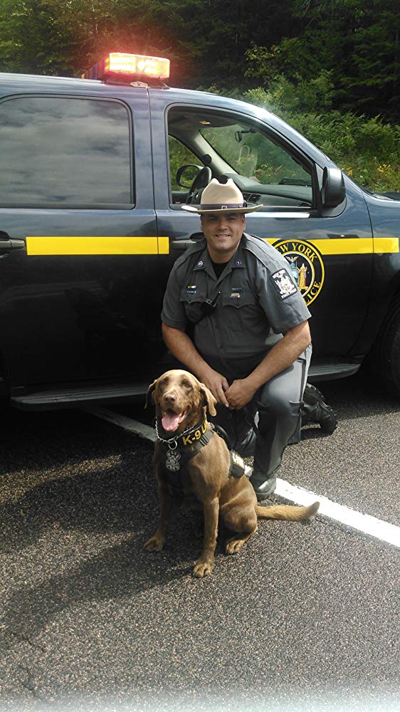 《逃离丹尼莫拉》剧照第36张图片