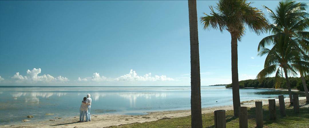 《爱在记忆消逝前》海报第53张图片