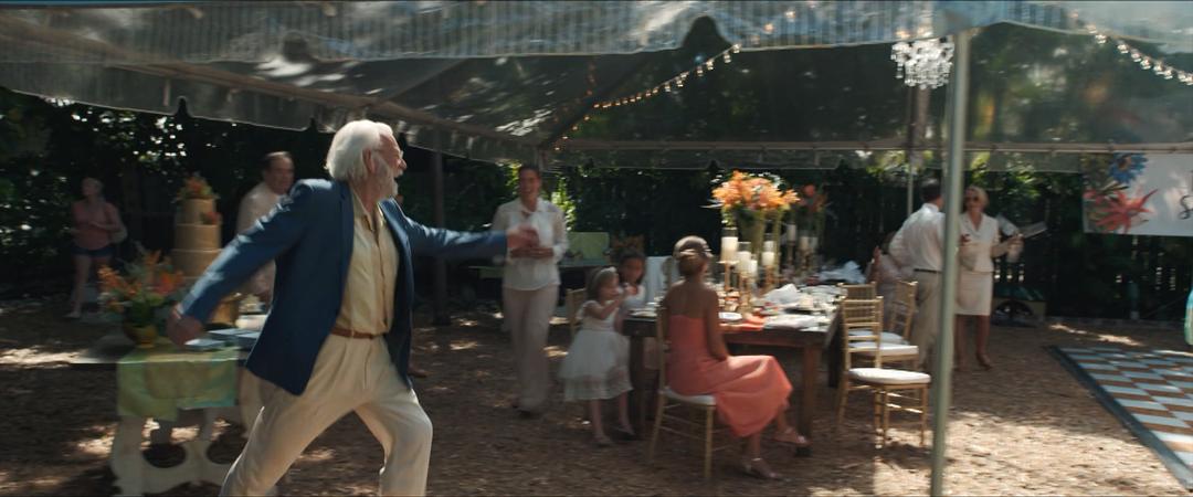 《爱在记忆消逝前》海报第30张图片