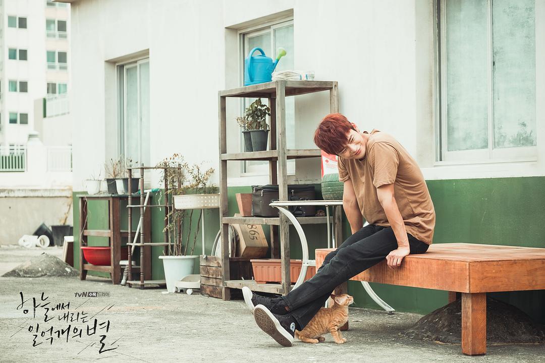 《从天而降的一亿颗星星》剧照第28张图片