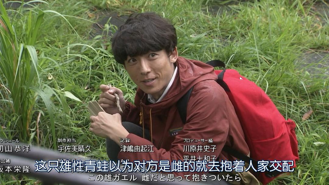 《我们由奇迹构成》海报第46张图片