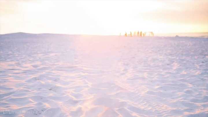 《星际幻爱》海报第4张图片