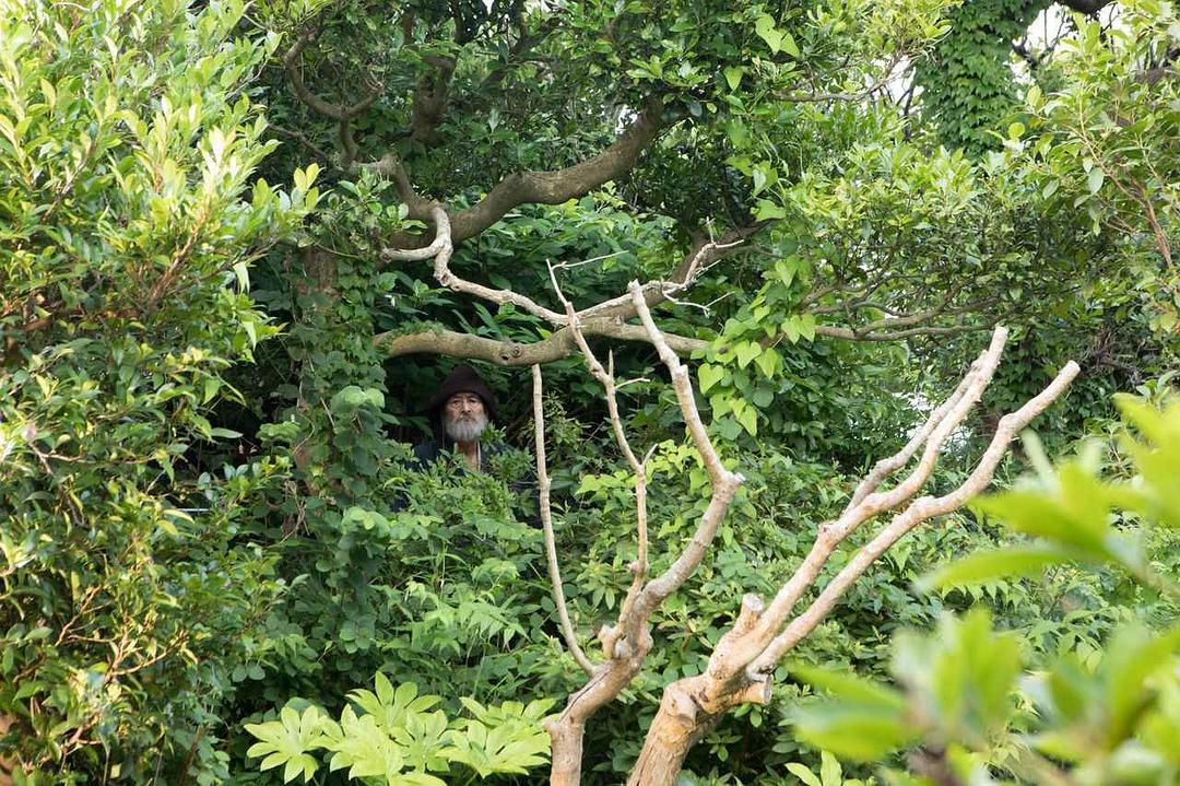 《有熊谷守一在的地方》剧照