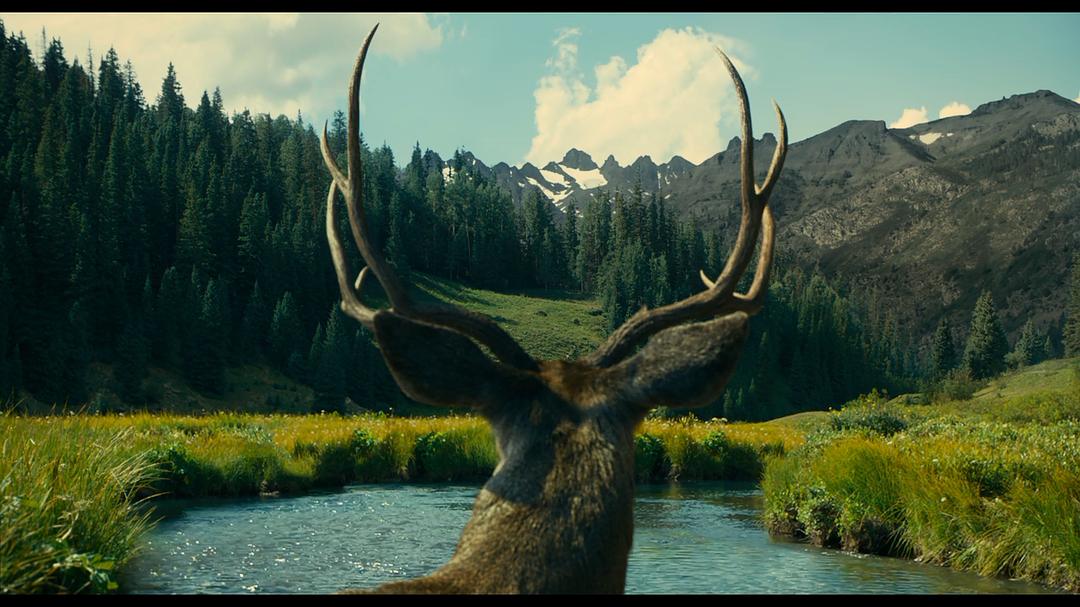 《巴斯特·斯克鲁格斯的歌谣》海报第34张图片