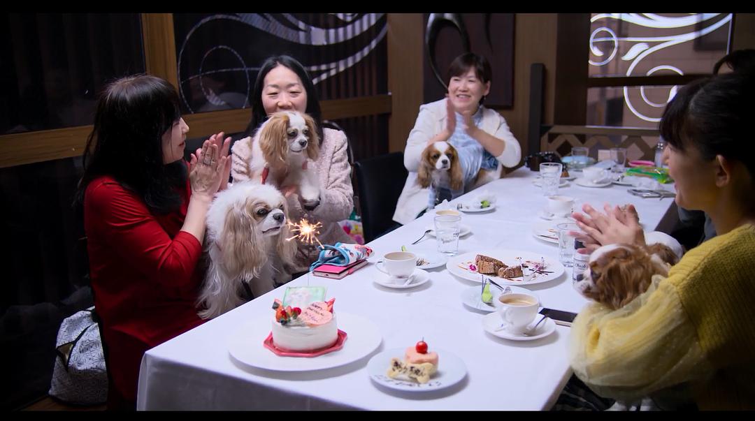 《爱犬情深第一季》剧照第30张图片